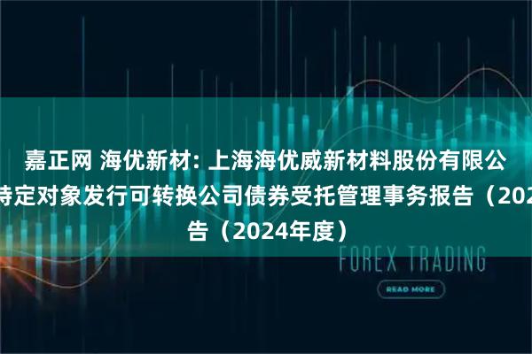 嘉正网 海优新材: 上海海优威新材料股份有限公司向不特定对象发行可转换公司债券受托管理事务报告（2024年度）