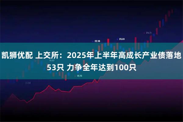 凯狮优配 上交所：2025年上半年高成长产业债落地53只 力争全年达到100只