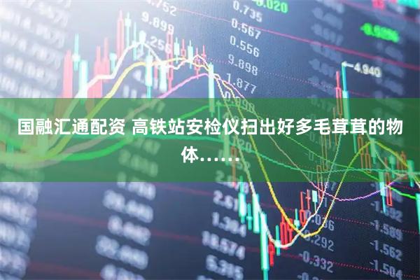 国融汇通配资 高铁站安检仪扫出好多毛茸茸的物体……